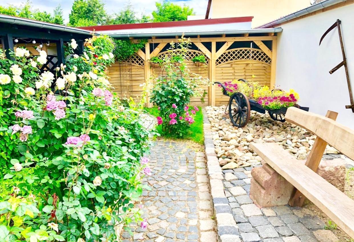 Ferienwohnungen Grimma 4 Exterior foto